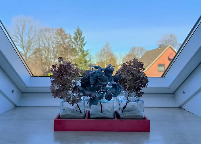 Appartamento Lorenz Grosse Mit Sonnigem Balkon In Ruhiger Lage Silberstedt